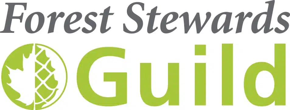 Forest Stewards Guild logo with green leaf and pinecone symbol beside gray and green text