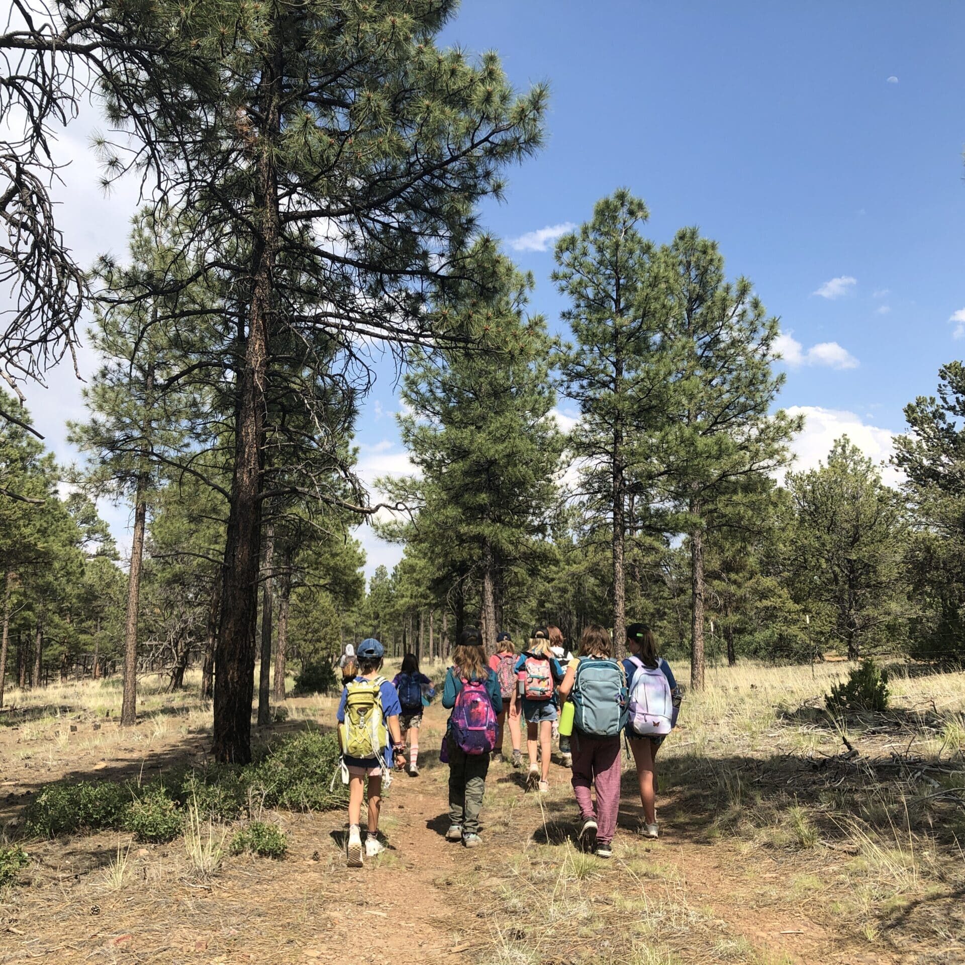 School children walk through the woods during a Cottonwood Gulch hike excursion.
