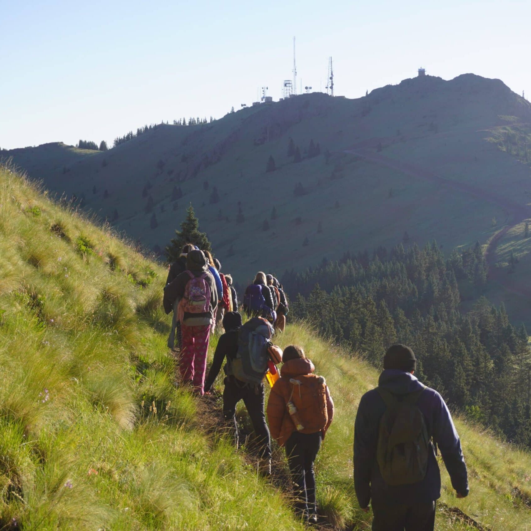 A group of youth hikers walk through the woods in New Mexico with Cottonwood Gulch.
